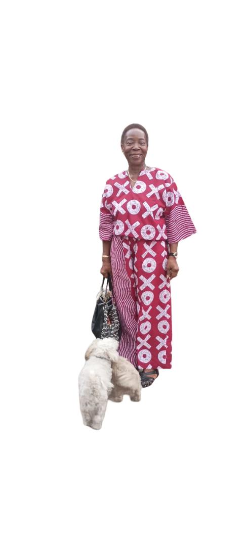Ankara Two Piece Set: African Print Crop Top & Wide Leg Pant Ankara two piece set, African print pants, Ankara crop top and pants, African print tops, Ankara wide leg pants, Ankara palazzo pant and top