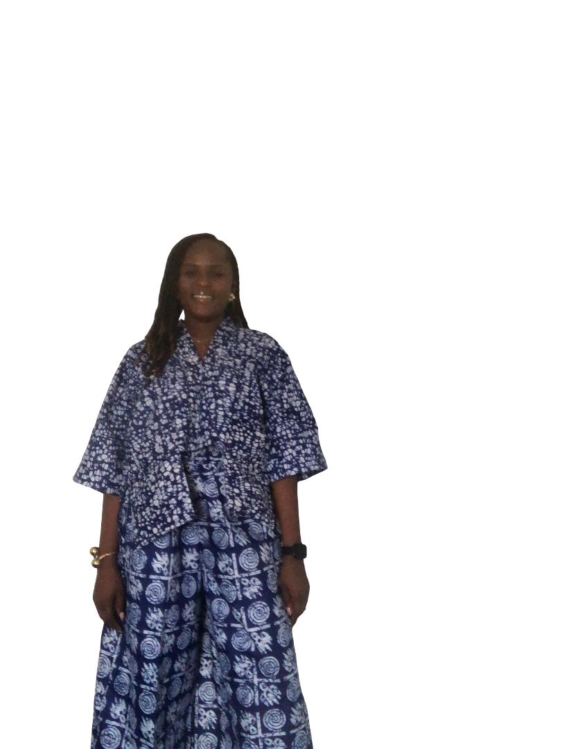 African Women's Crop Top and Pants, Ankara 2 Piece Set Casual Outfits. Ankara Crop Top, Ankara Pants, 2 Piece Party Outfit, Palazzo, Ankara Trouser, Gift for Her, African Print Pants, Ankara Crop Top and Pants, Ankara Wide Leg Pants, Ankara Palazzo Pant